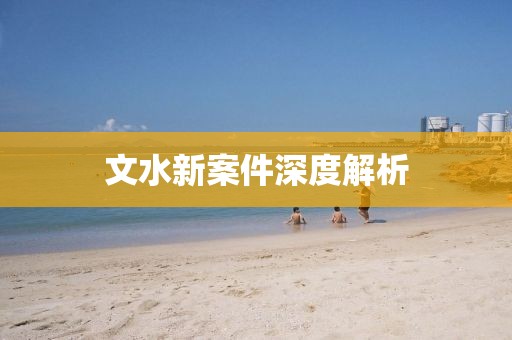文水新案件深度解析