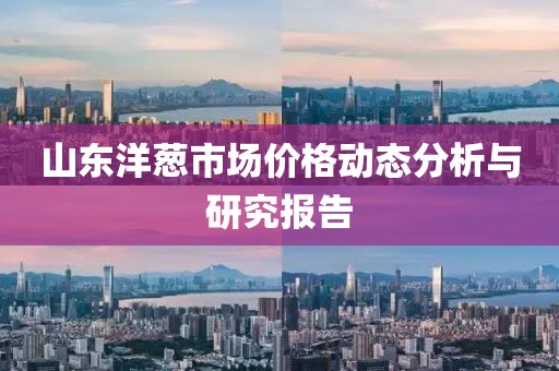 山東洋蔥市場價格動態(tài)分析與研究報告