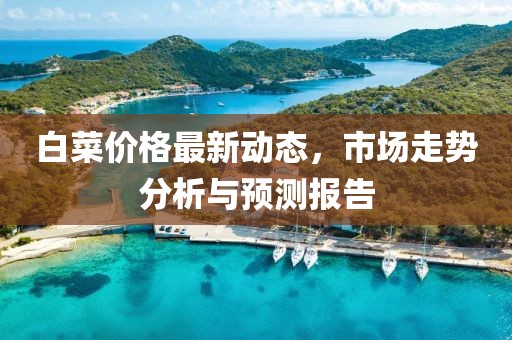 白菜價格最新動態(tài)，市場走勢分析與預測報告