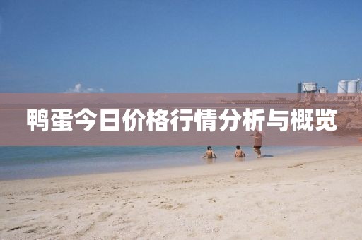 鴨蛋今日價格行情分析與概覽