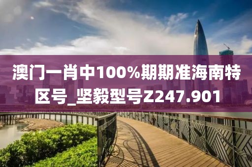 澳門一肖中100%期期準(zhǔn)海南特區(qū)號(hào)_堅(jiān)毅型號(hào)Z247.901