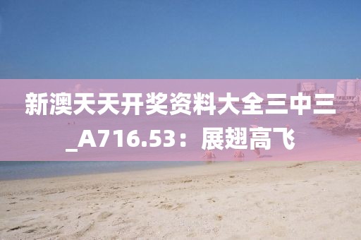 新澳天天開獎資料大全三中三_A716.53：展翅高飛