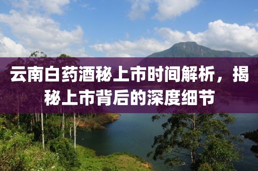 云南白藥酒秘上市時間解析，揭秘上市背后的深度細(xì)節(jié)