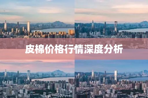 皮棉價格行情深度分析