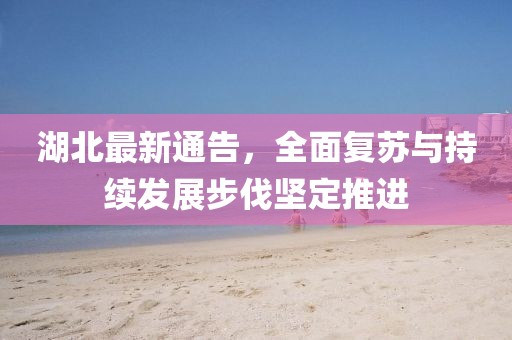 湖北最新通告，全面復(fù)蘇與持續(xù)發(fā)展步伐堅(jiān)定推進(jìn)