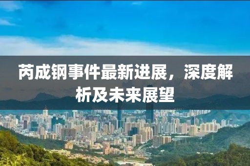 芮成鋼事件最新進(jìn)展，深度解析及未來展望