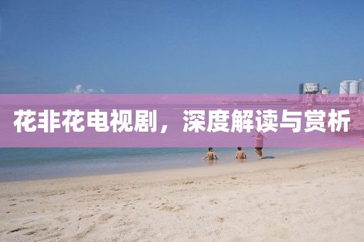 花非花電視劇，深度解讀與賞析