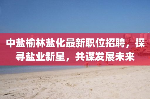 中鹽榆林鹽化最新職位招聘，探尋鹽業(yè)新星，共謀發(fā)展未來(lái)