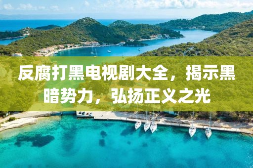 反腐打黑電視劇大全，揭示黑暗勢力，弘揚(yáng)正義之光