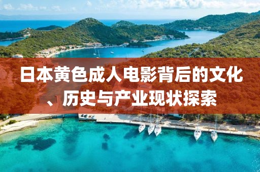 日本黃色成人電影背后的文化、歷史與產業(yè)現(xiàn)狀探索