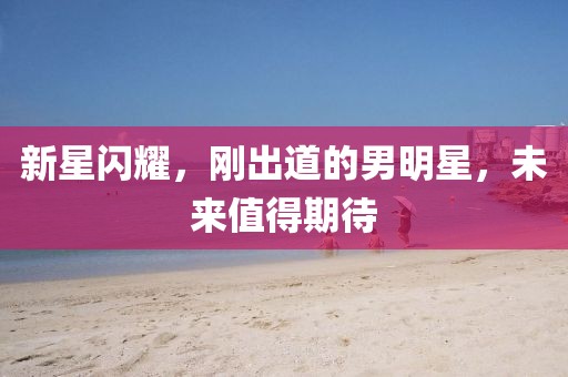 新星閃耀，剛出道的男明星，未來(lái)值得期待