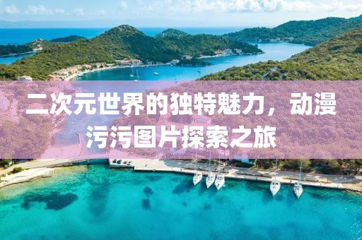二次元世界的獨(dú)特魅力，動(dòng)漫污污圖片探索之旅