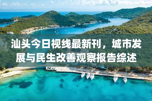 汕頭今日視線最新刊，城市發(fā)展與民生改善觀察報(bào)告綜述