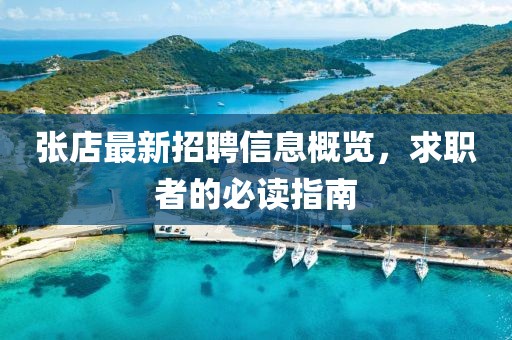 張店最新招聘信息概覽，求職者的必讀指南