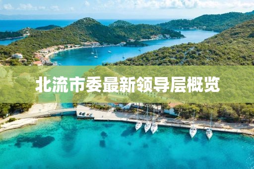 北流市委最新領(lǐng)導層概覽