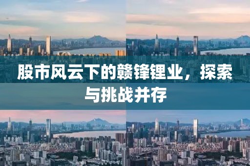 股市風(fēng)云下的贛鋒鋰業(yè)，探索與挑戰(zhàn)并存