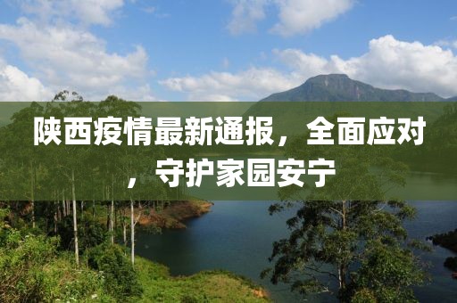 陜西疫情最新通報，全面應(yīng)對，守護家園安寧