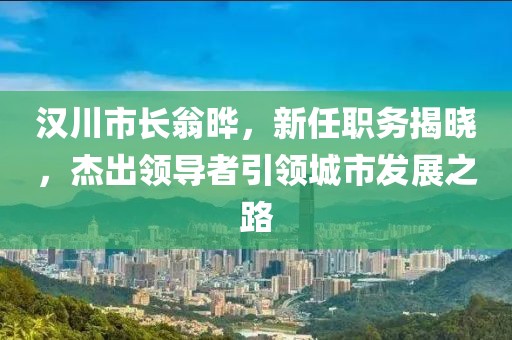 漢川市長翁曄，新任職務(wù)揭曉，杰出領(lǐng)導(dǎo)者引領(lǐng)城市發(fā)展之路