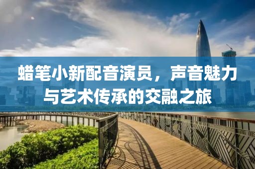 蠟筆小新配音演員，聲音魅力與藝術(shù)傳承的交融之旅