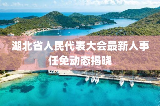 湖北省人民代表大會最新人事任免動態(tài)揭曉