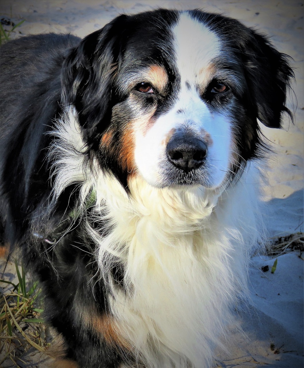 新澳2024今晚開獎(jiǎng)資料四不像：34-27-4-23-28-48T：46