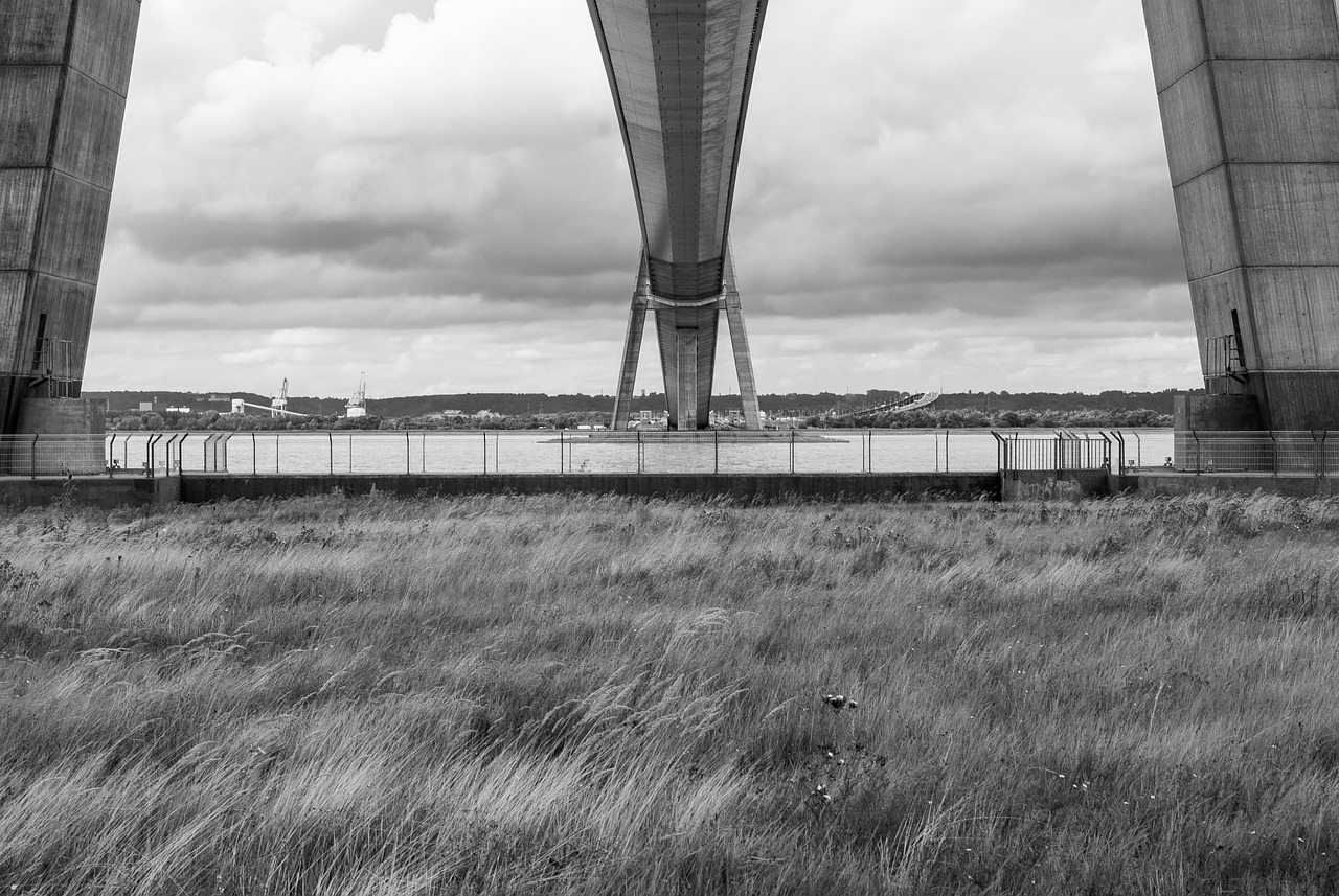 動(dòng)漫藤，連接虛擬與現(xiàn)實(shí)的獨(dú)特文化橋梁