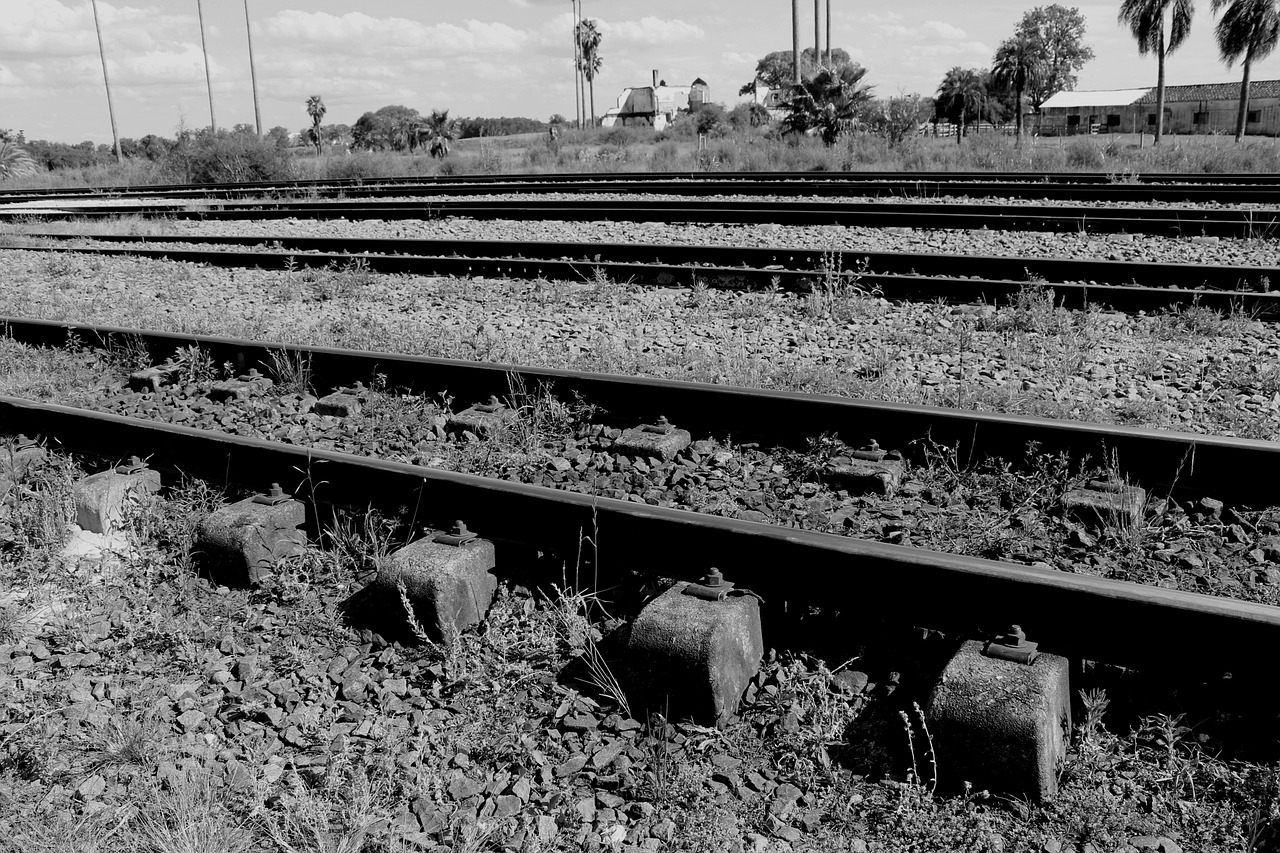 逐漸邁入成熟 第29頁