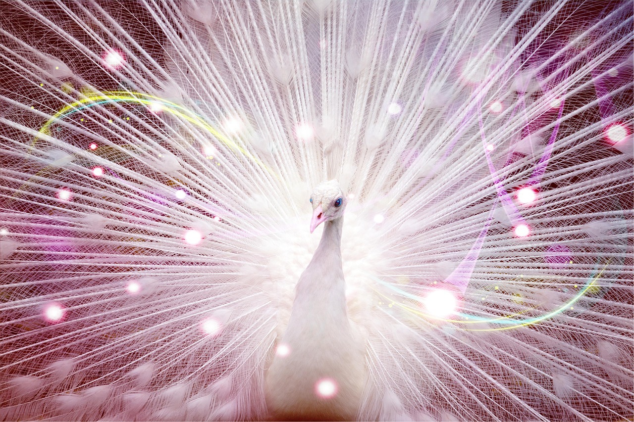 探索未來之星，002030股票展望