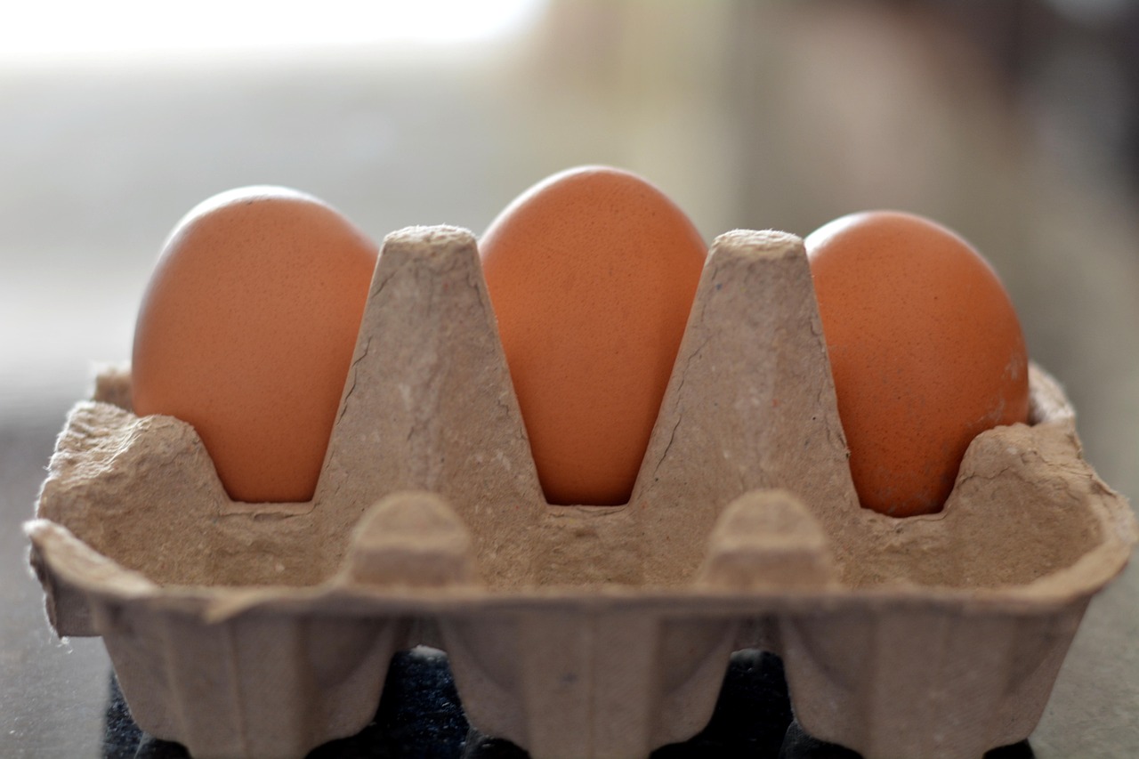 今日雞蛋價(jià)格動(dòng)態(tài)，市場(chǎng)趨勢(shì)分析與展望——健康向上的市場(chǎng)走勢(shì)