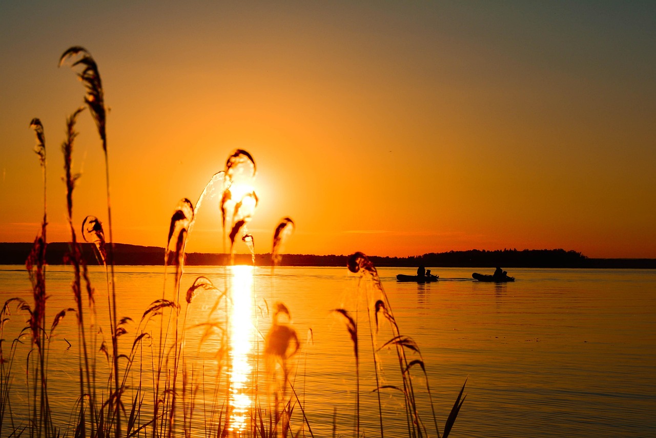 防汛動態(tài)，筑牢安全防線，守護家園安寧