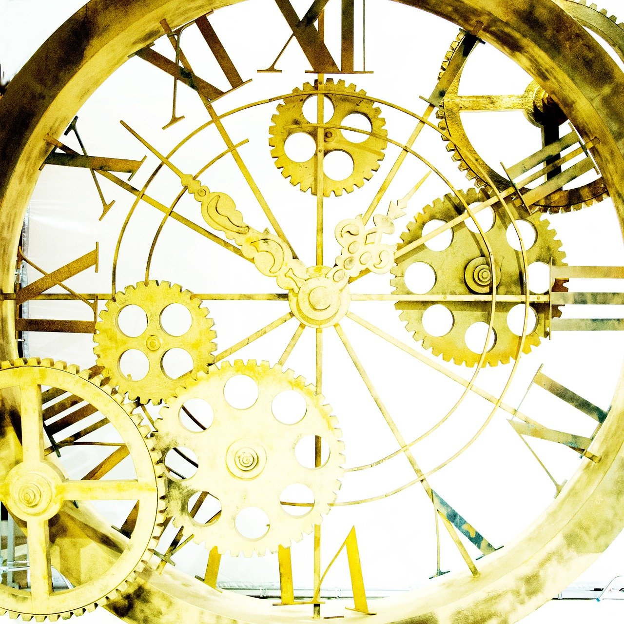 揚(yáng)州寶緣珠寶最新動(dòng)態(tài)揭曉，璀璨未來(lái)展望