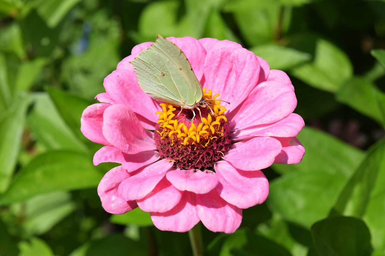 橡膠價格分析，市場動態(tài)、影響因素及未來趨勢，一噸橡膠究竟多少錢？