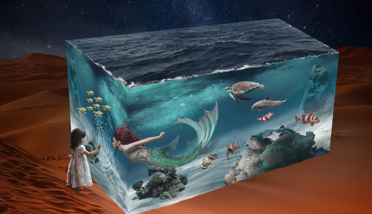 福星公棚最新通告揭秘未來(lái)發(fā)展規(guī)劃與重要更新動(dòng)態(tài)