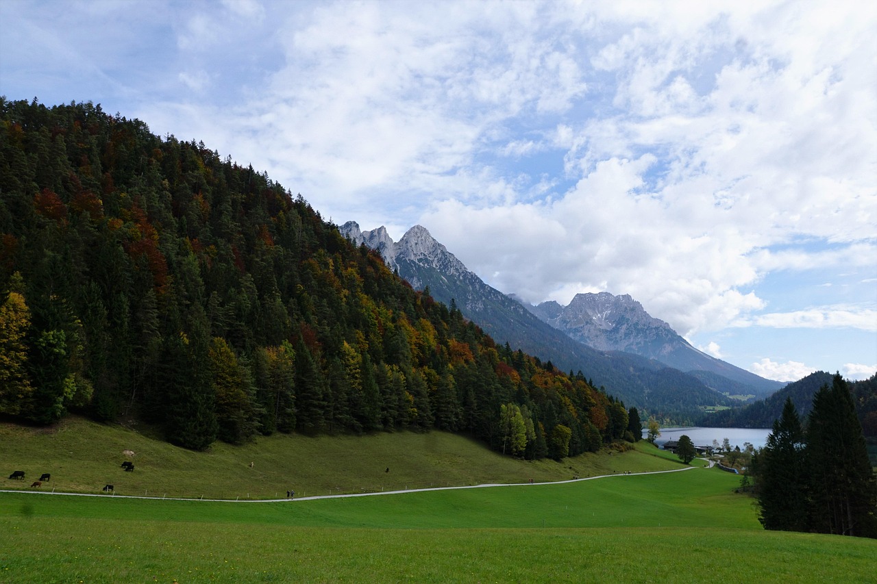 精選時尚與美景完美融合，最新壁紙推薦欣賞