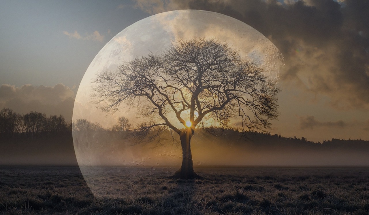 動(dòng)漫經(jīng)典語錄圖片的魅力與深遠(yuǎn)影響