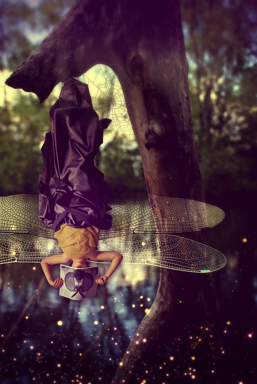 動(dòng)漫小說(shuō)封面，藝術(shù)與故事的絕美融合