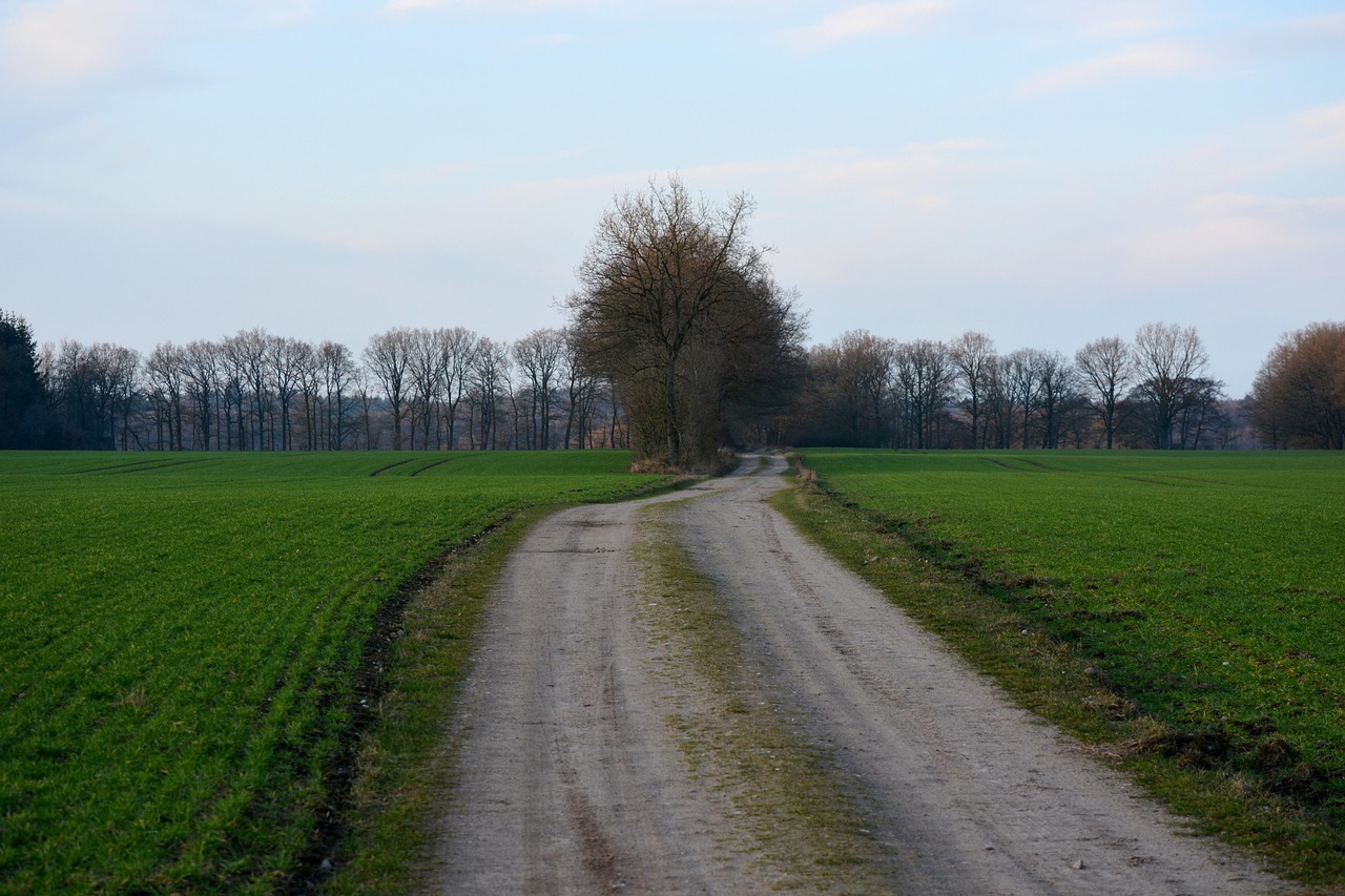 最新農(nóng)村自留地政策全面解讀