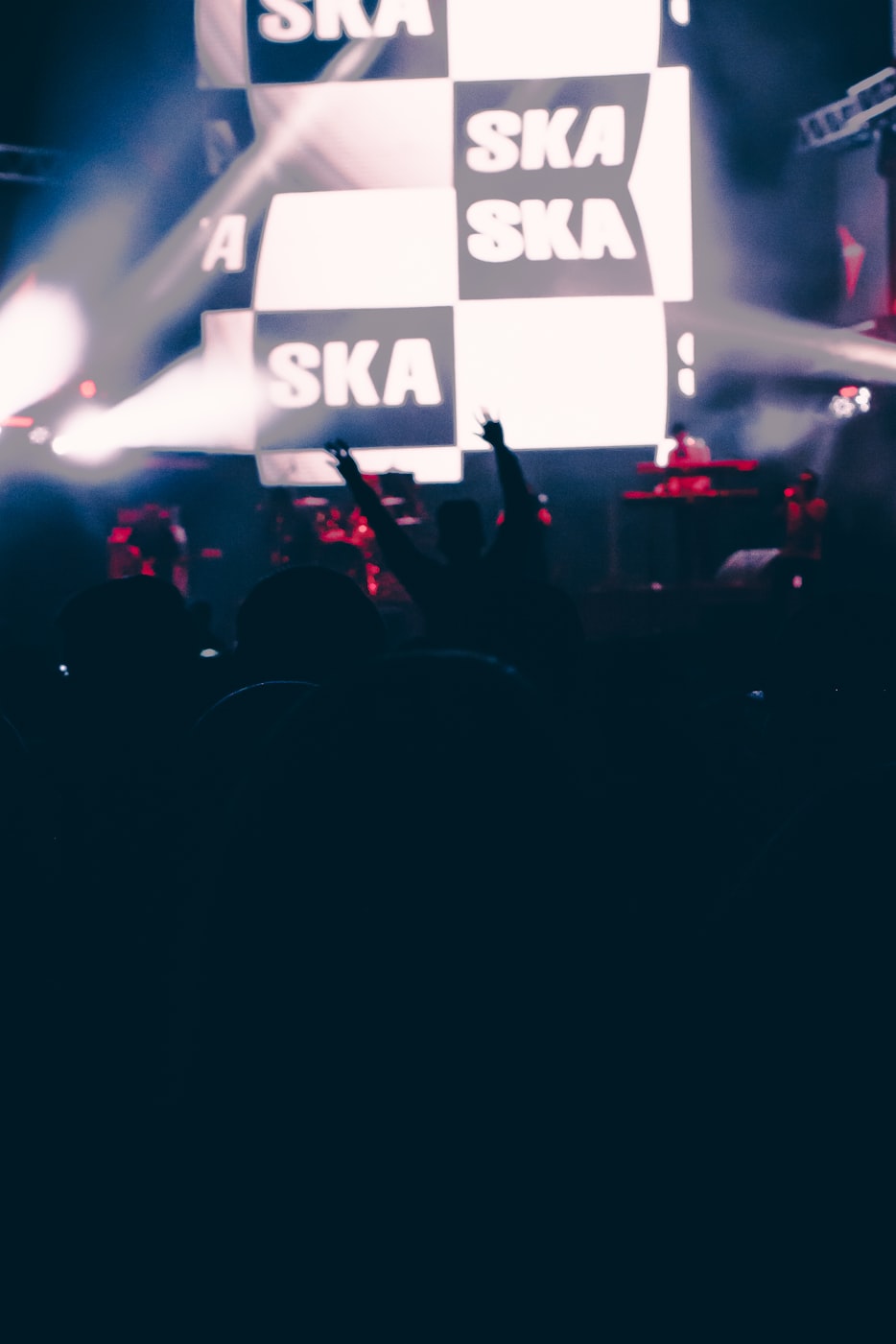 最新森林派對(duì)，自然活力完美交織的盛宴！