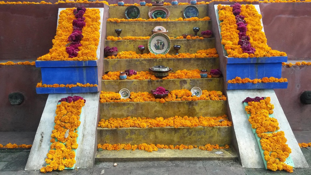 武清南湖一號(hào)最新價(jià)格動(dòng)態(tài)及解析