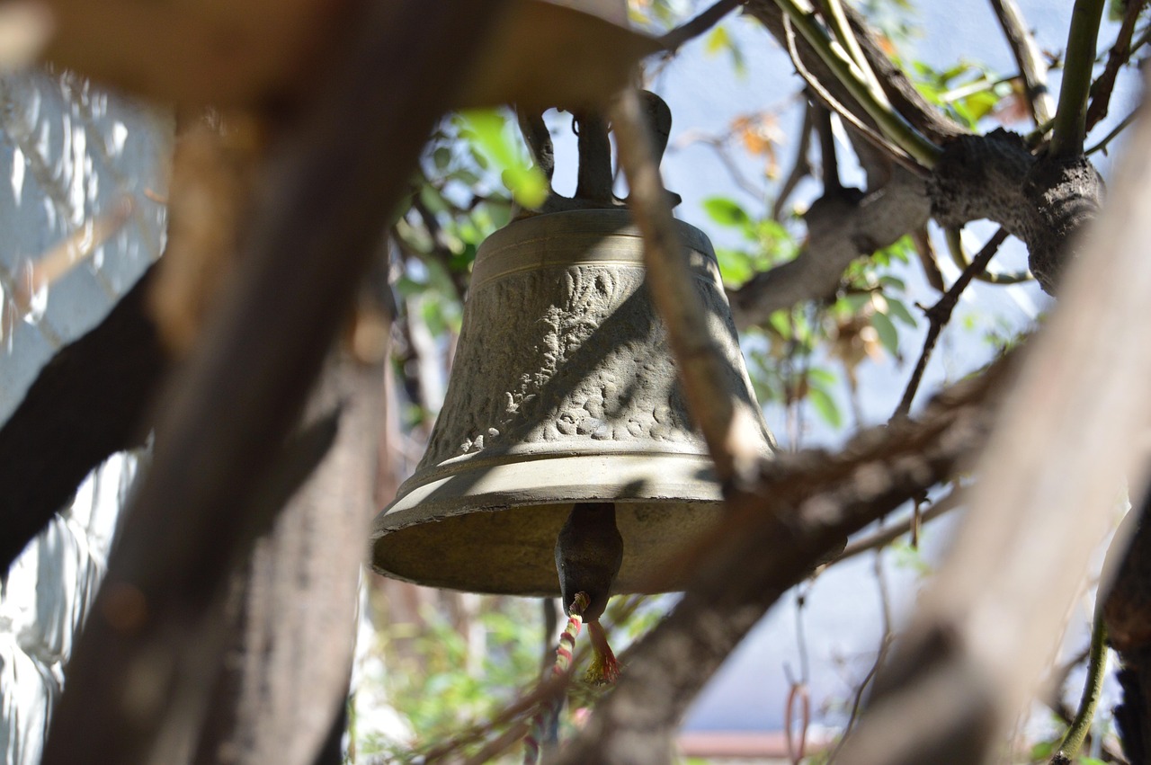 最新糯稻市場(chǎng)動(dòng)態(tài)及其深度分析