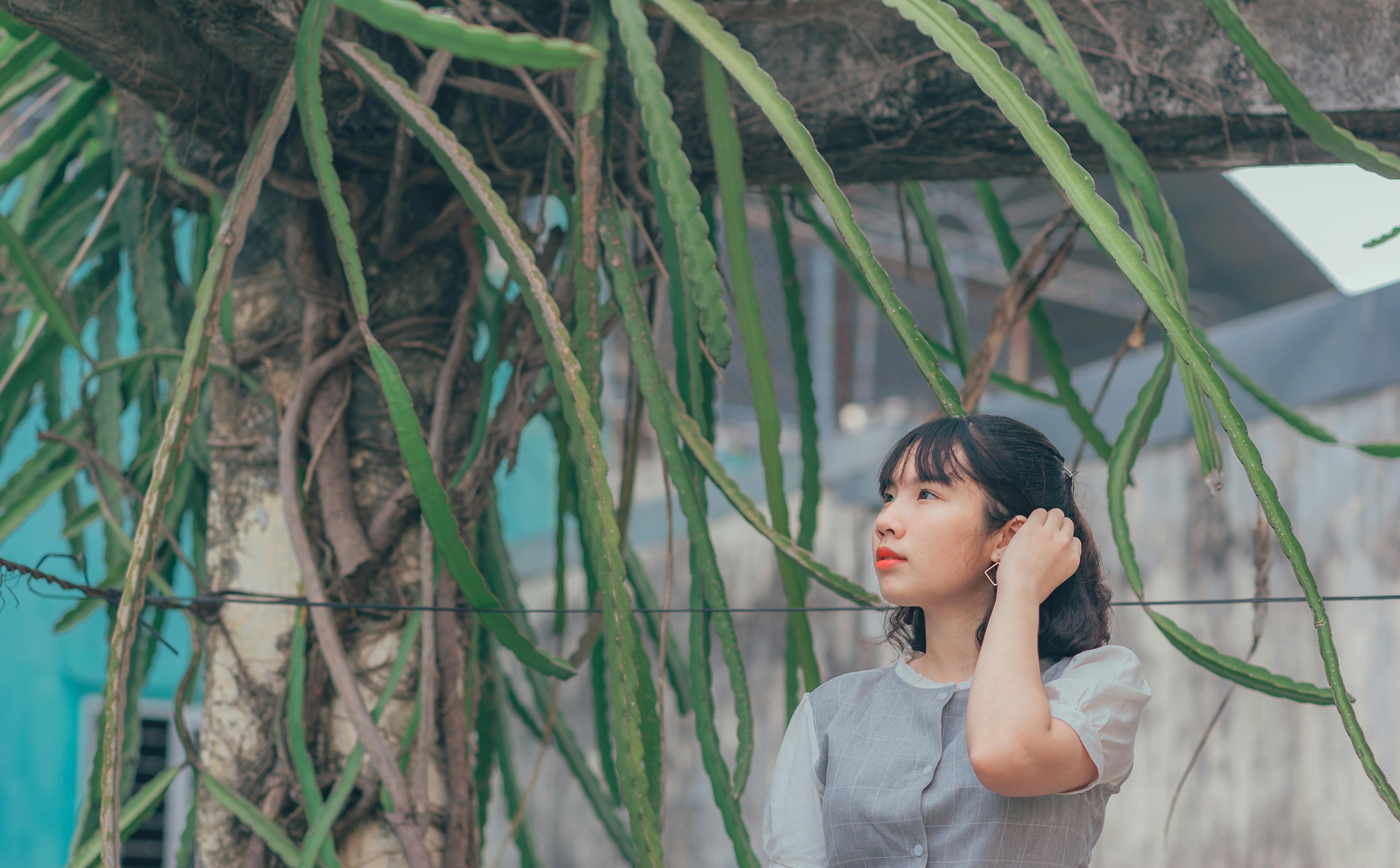 港臺(tái)明星，娛樂圈中的璀璨之星