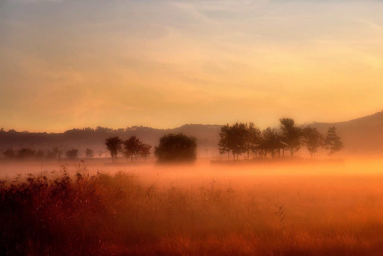 韓女士新動(dòng)態(tài)，展現(xiàn)時(shí)代魅力，引領(lǐng)風(fēng)尚潮流