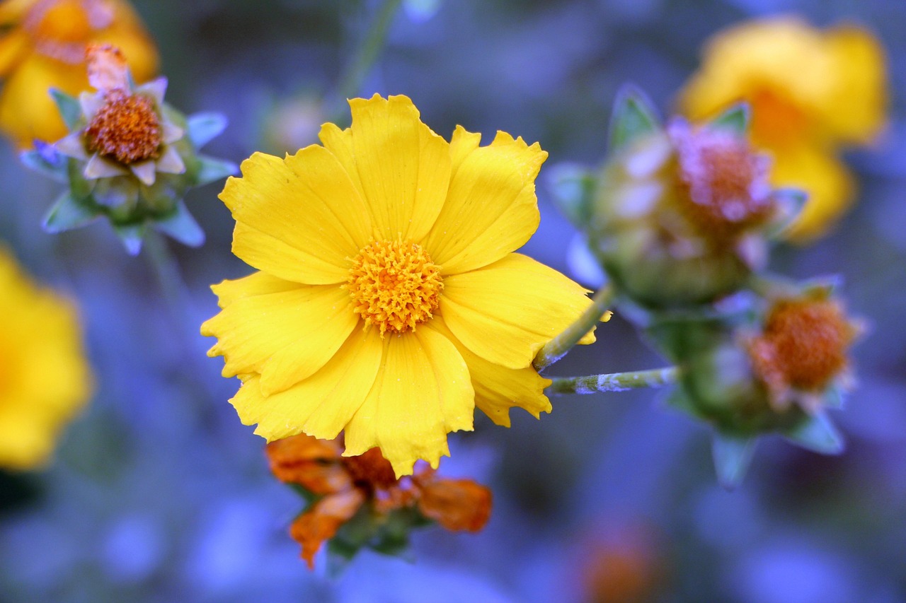 2025年9月 第249頁