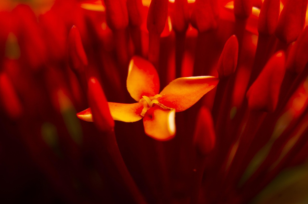 流連染紫旳憫 第6頁(yè)