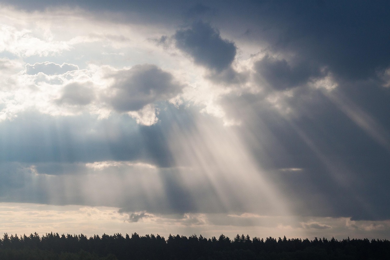 回望1977年明星風(fēng)采，璀璨星辰的璀璨瞬間