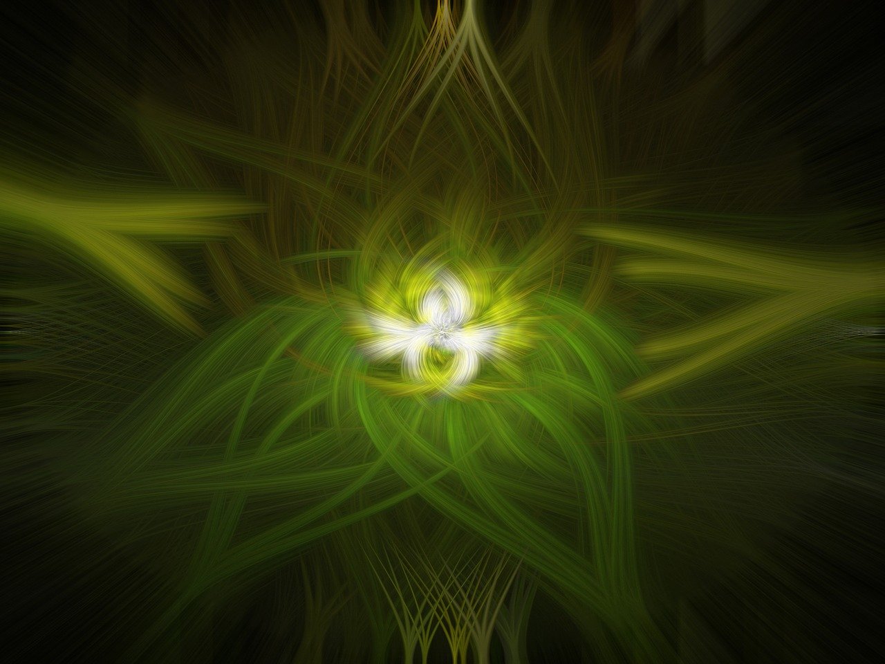 山西張少波最新動態(tài)，引領(lǐng)變革，探索未來