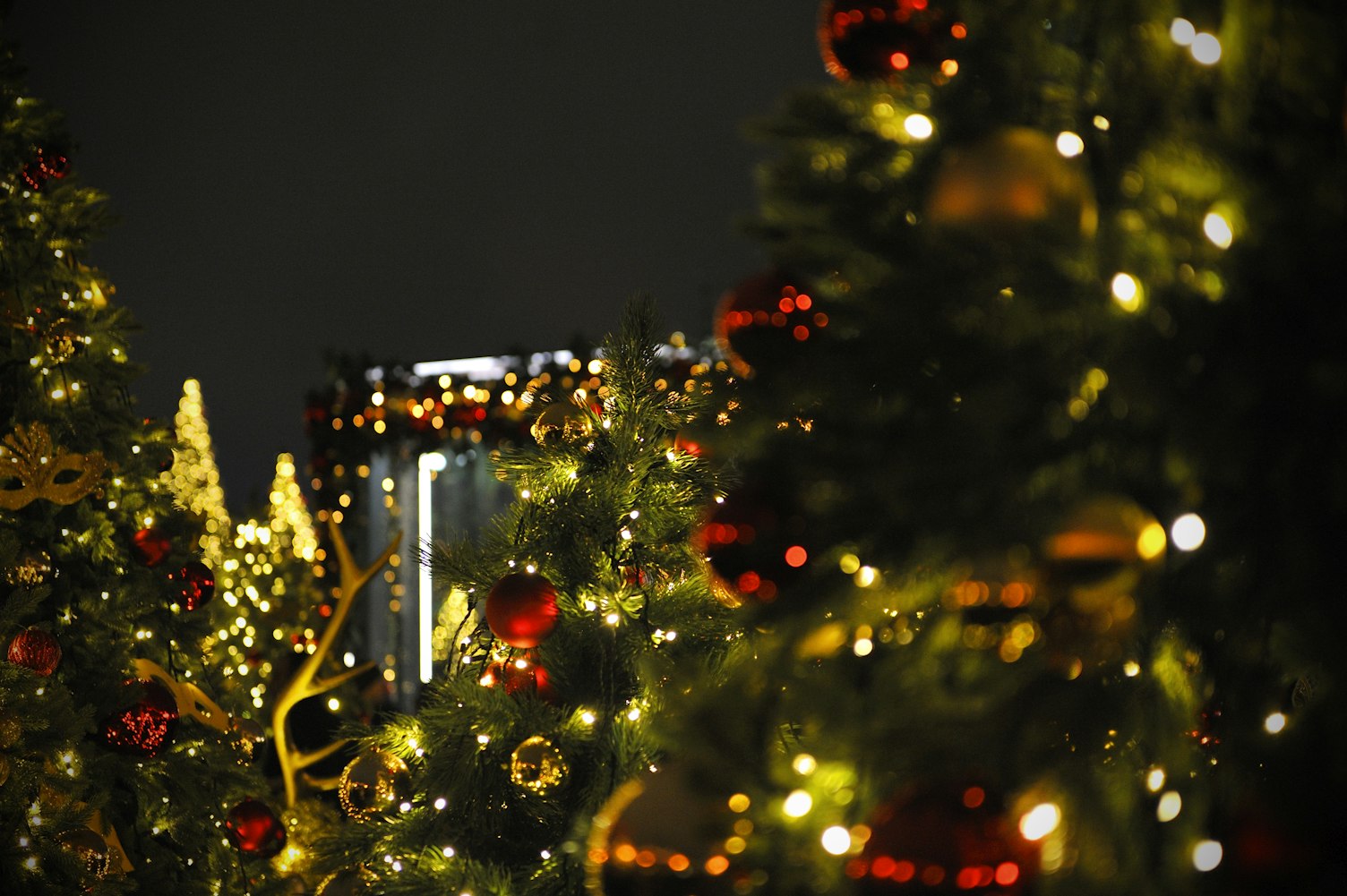 二次元魅力之源，萌動(dòng)漫頭像探索之旅