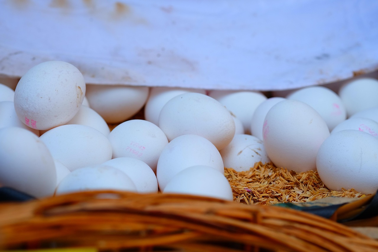 回龍觀房價與二手房價格走勢解析，最新動態(tài)與市場趨勢分析