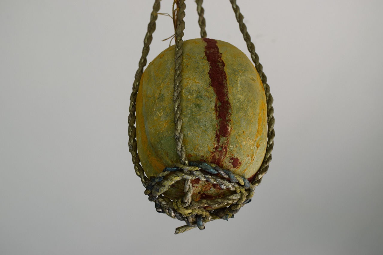 六安動(dòng)漫城最新動(dòng)態(tài)，繁榮發(fā)展的文化產(chǎn)業(yè)新地標(biāo)，成為新焦點(diǎn)