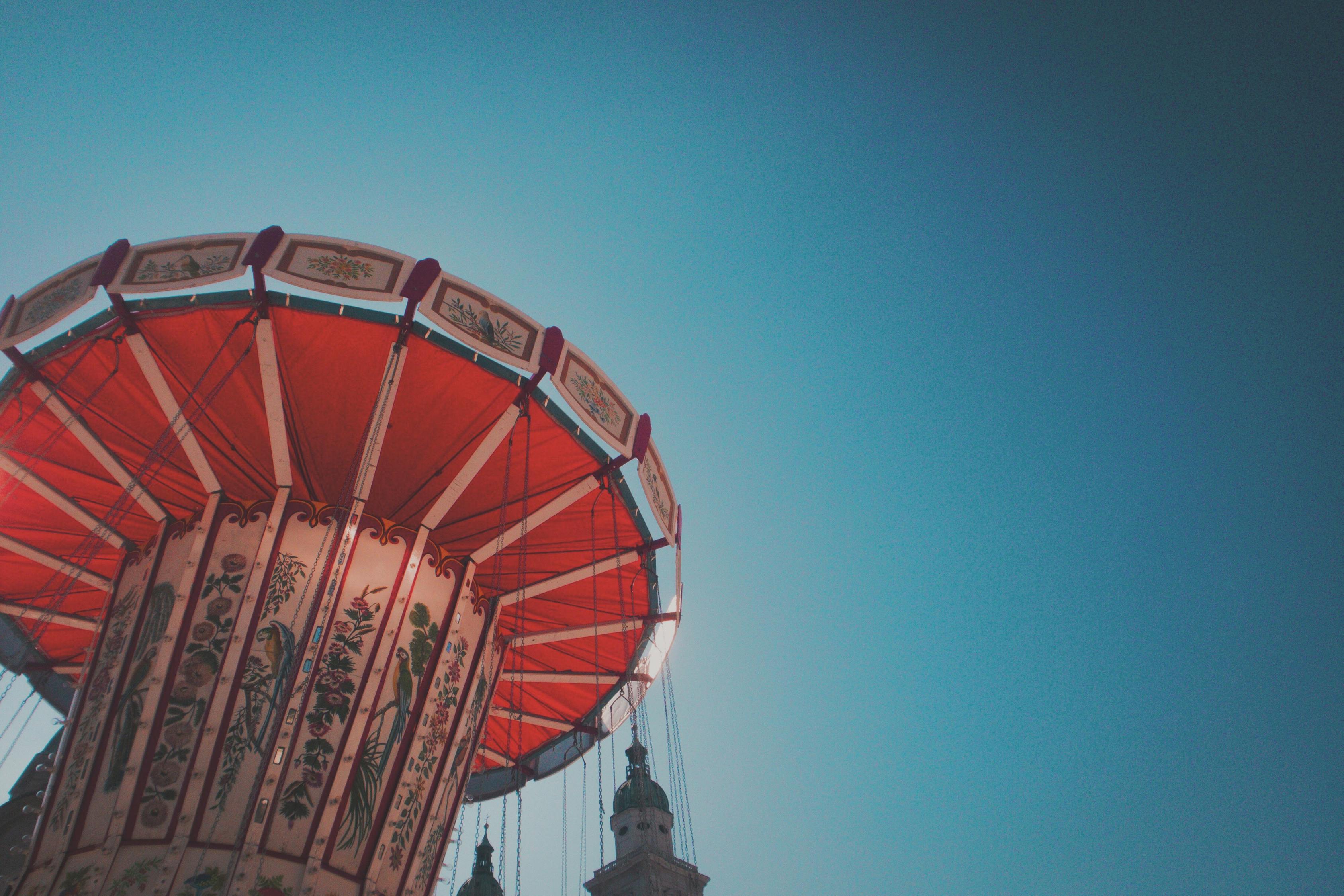 黑胡椒最新市場價(jià)格及其動(dòng)態(tài)分析概覽